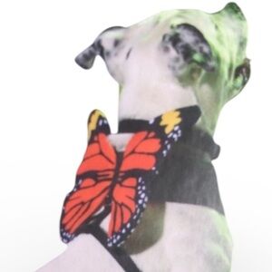 NWT pupperfly butterfly wings harness costume M